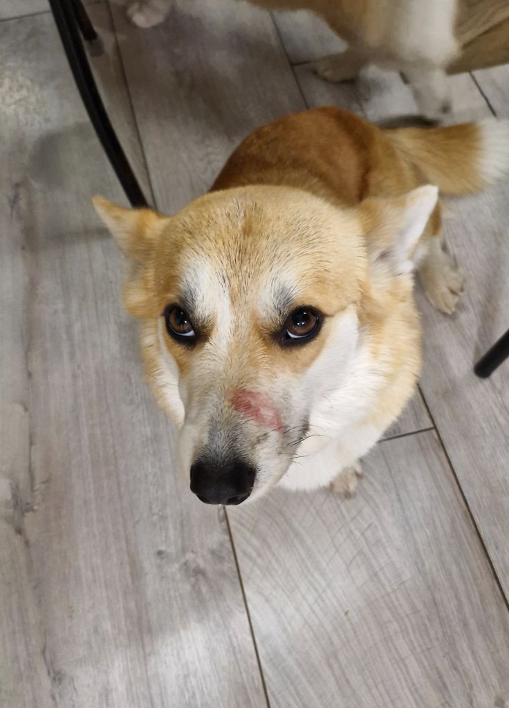 Violette dancing Wonders of the World